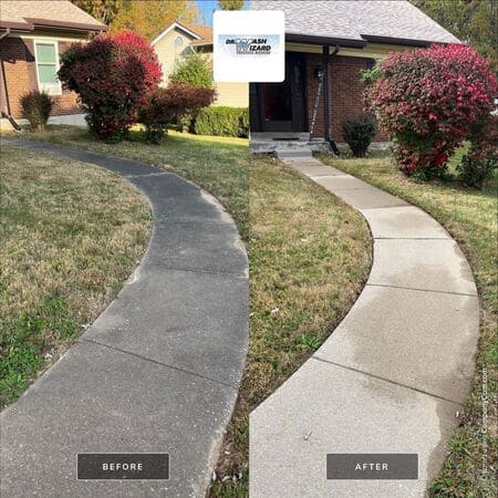 Concrete Cleaning in Florissant, MO: How to Remove Black Algae and Organic Stains for Good
